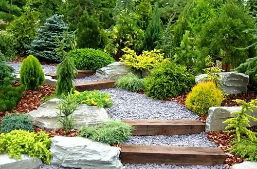 carousel-landscapingportfolio-3